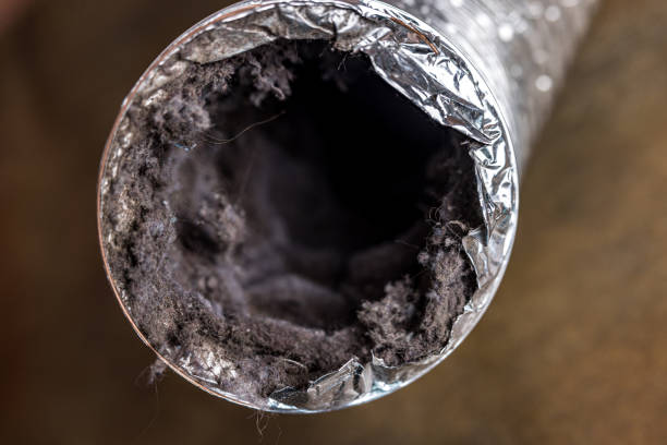 Best Air Duct Cleaning Near Me  in Palisades Park, NJ