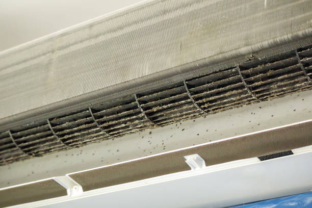 Best Home Air Vent Cleaning  in Palisades Park, NJ